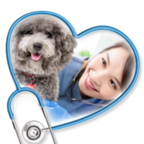 Healthy Pets, Happy Owners